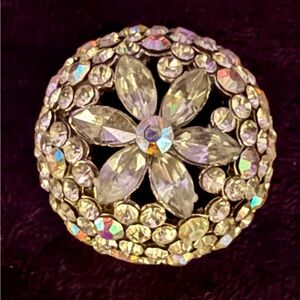 Antique/Vintage Crystal Flower Dome Button